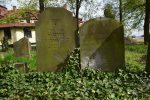 Macewy na cmentarzu ydowskim w Brzegu