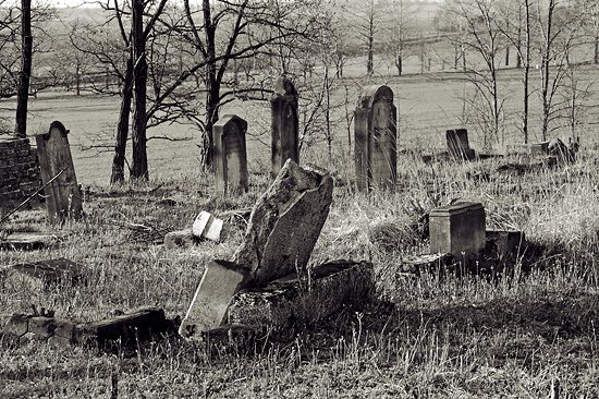 Cmentarz żydowski w Byczynie w obiektywie Rafała Stasiaka