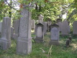 groby na cmentarzu ydowskim w Dzieroniowie