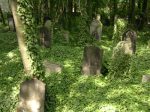 Stary cmentarz ydowski w Gliwicach