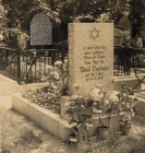 Gogw - aleja lipowa na zniszczonym cmentarzu ydowskim