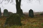 cmentarz ydowski w Lipsku