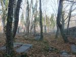 Cmentarz ydowski w Mysowicach