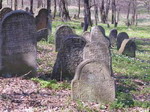 Nowy Winicz - cmentarz ydowski
