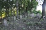 cmentarz ydowski w Nowym migrodzie