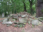 zniszczone nagrobki na cmentarzu ydowskim w Skwierzynie