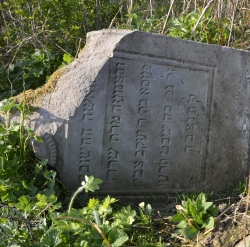 Macewa na cmentarzu ydowskim w Tarczynie