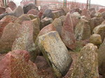 lapidarium, zoone okoo czterystu macew z polnego kamienia