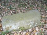 Wilica - nagrobek na cmentarzu ydowskim