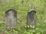 Zibice - cmentarz ydowski